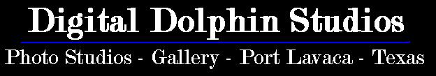 Digital Dolphin Studios - Photography Studios - Port Lavaca, Texas